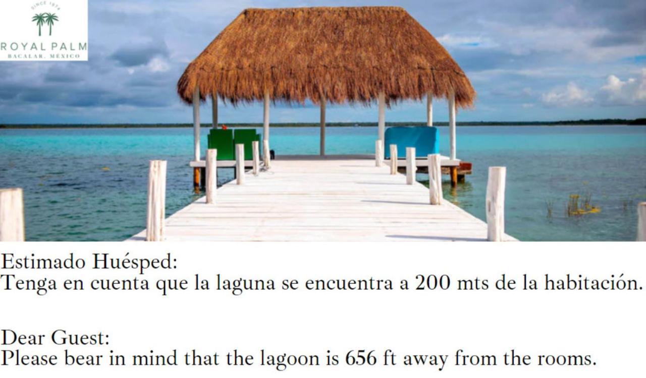 Royal Palm Bacalar Cabanas & Lagoon Club Bilik gambar